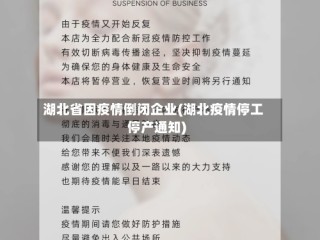 湖北省因疫情倒闭企业(湖北疫情停工停产通知)