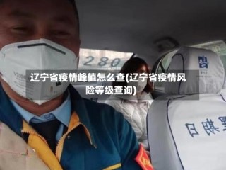 辽宁省疫情峰值怎么查(辽宁省疫情风险等级查询)