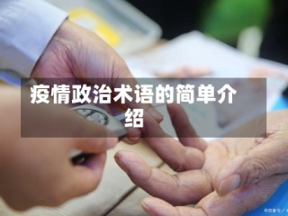 疫情政治术语的简单介绍