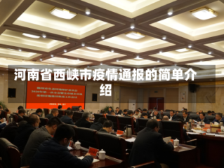 河南省西峡市疫情通报的简单介绍