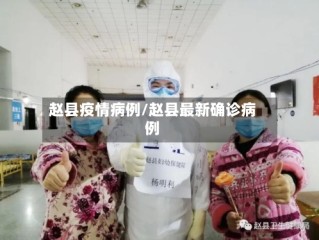 赵县疫情病例/赵县最新确诊病例