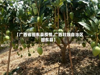 【广西省田东县疫情,广西壮族自治区田东县】