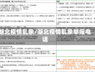 湖北疫情乱象/湖北疫情乱象举报电话
