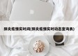 肺炎疫情实时间(肺炎疫情实时动态查询表)