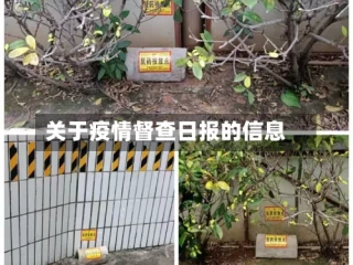 关于疫情督查日报的信息
