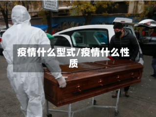 疫情什么型式/疫情什么性质