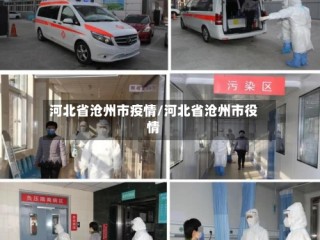 河北省沧州市疫情/河北省沧州市役情