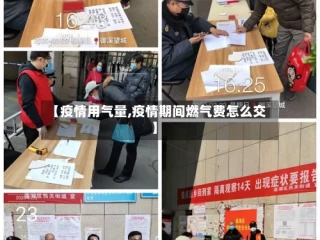 【疫情用气量,疫情期间燃气费怎么交】