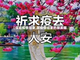 【保佑疫情结束,愿疫情结束的朋友圈】