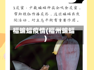 福蝙蝠疫情(福州蝙蝠)