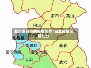 湖北省各市的疫情怎样/湖北疫情区域划分