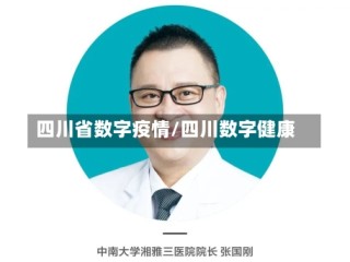 四川省数字疫情/四川数字健康