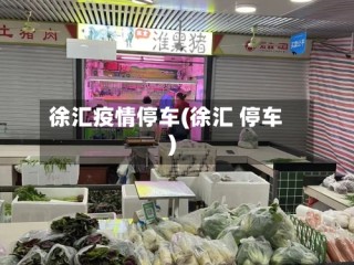 徐汇疫情停车(徐汇 停车)