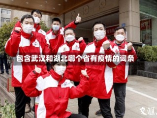 包含武汉和湖北哪个省有疫情的词条