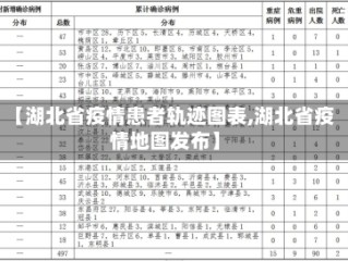 【湖北省疫情患者轨迹图表,湖北省疫情地图发布】