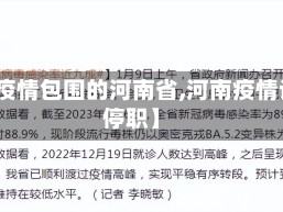 【被疫情包围的河南省,河南疫情谁被停职】