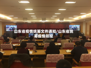 山东省疫情统筹文件通知/山东省统筹疫情防控