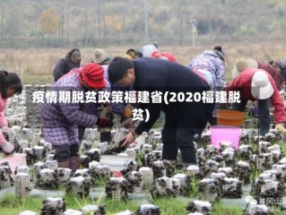 疫情期脱贫政策福建省(2020福建脱贫)