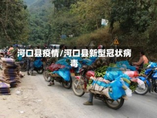 河口县疫情/河口县新型冠状病毒