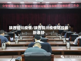 陕西铜川疫情/陕西铜川疫情防控最新通知