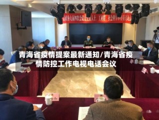 青海省疫情提案最新通知/青海省疫情防控工作电视电话会议