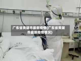 广东省黄陂市最新疫情(广东省黄陂市最新疫情情况)