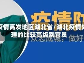 在疫情高发地区湖北省/湖北疫情处理的比较高级别官员