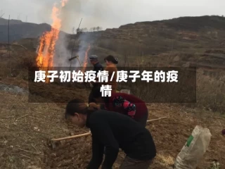 庚子初始疫情/庚子年的疫情