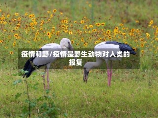 疫情和野/疫情是野生动物对人类的报复