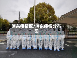 浦东疫情区/浦东疫情分布图