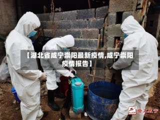 【湖北省咸宁崇阳最新疫情,咸宁崇阳疫情报告】