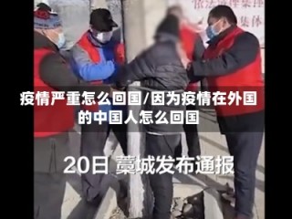 疫情严重怎么回国/因为疫情在外国的中国人怎么回国