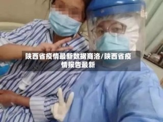 陕西省疫情最新数据商洛/陕西省疫情报告最新