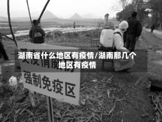 湖南省什么地区有疫情/湖南那几个地区有疫情