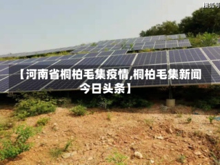 【河南省桐柏毛集疫情,桐柏毛集新闻今日头条】