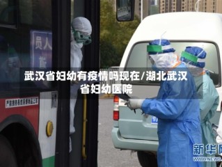 武汉省妇幼有疫情吗现在/湖北武汉省妇幼医院