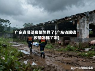 广东省顺德疫情怎样了(广东省顺德疫情怎样了啊)