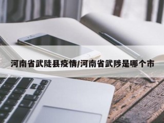 河南省武陡县疫情/河南省武陟是哪个市