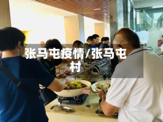 张马屯疫情/张马屯村