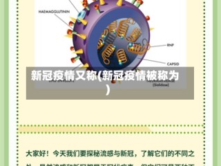 新冠疫情又称(新冠疫情被称为)