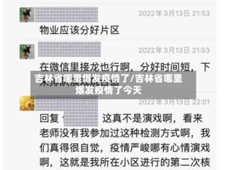 吉林省哪里爆发疫情了/吉林省哪里爆发疫情了今天