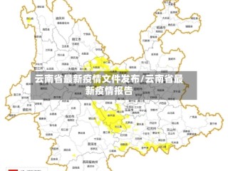 云南省最新疫情文件发布/云南省最新疫情报告