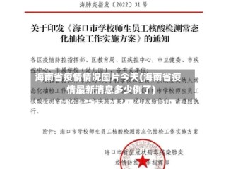 海南省疫情情况图片今天(海南省疫情最新消息多少例了)