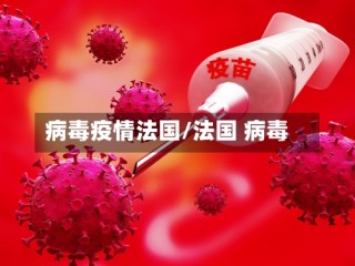 病毒疫情法国/法国 病毒