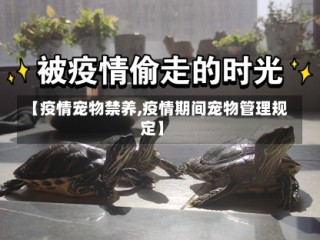 【疫情宠物禁养,疫情期间宠物管理规定】