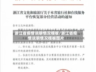 浙江省疫情说明情况模板/浙江省疫情说明情况模板图片