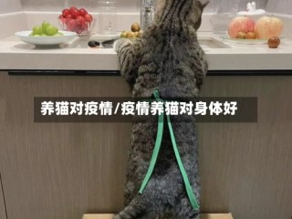 养猫对疫情/疫情养猫对身体好