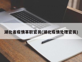 湖北省疫情革职官员(湖北疫情处理官员)