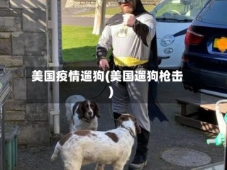 美国疫情遛狗(美国遛狗枪击)