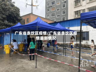 广东省赤坎区疫情/广东省赤坎区疫情最新情况